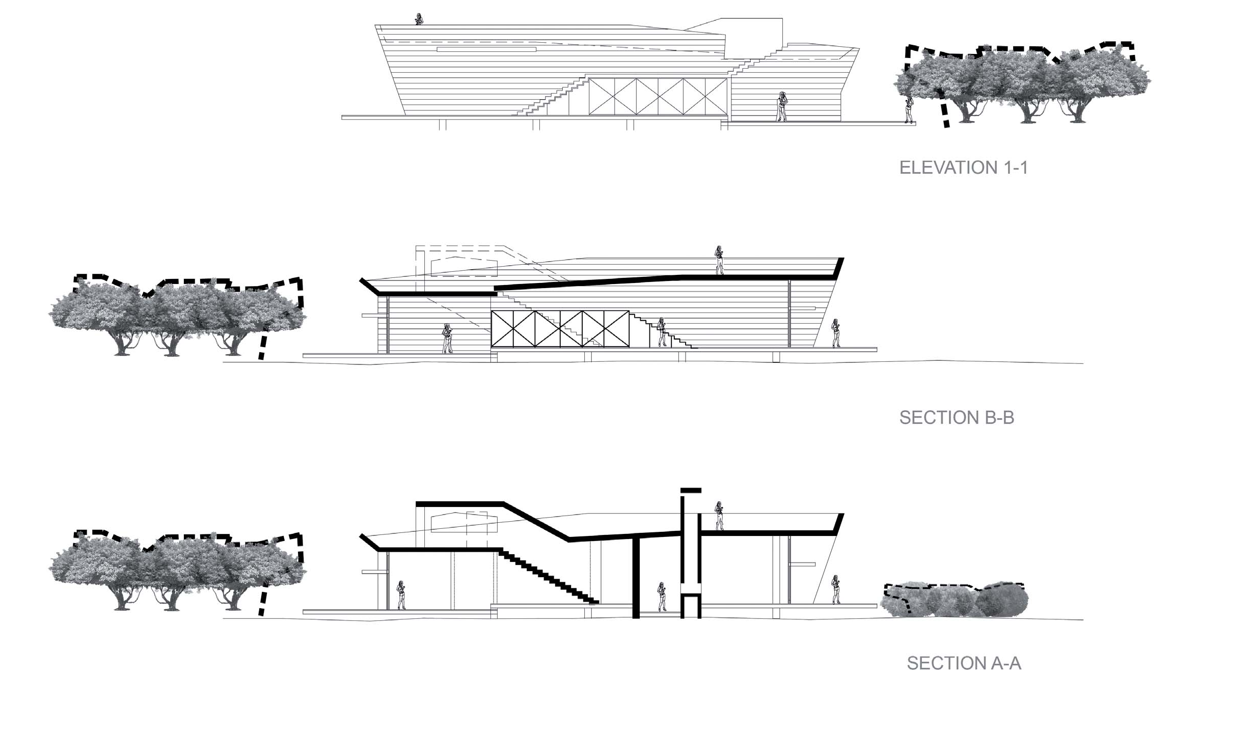 Elevation and sections of the main building, raised on posts